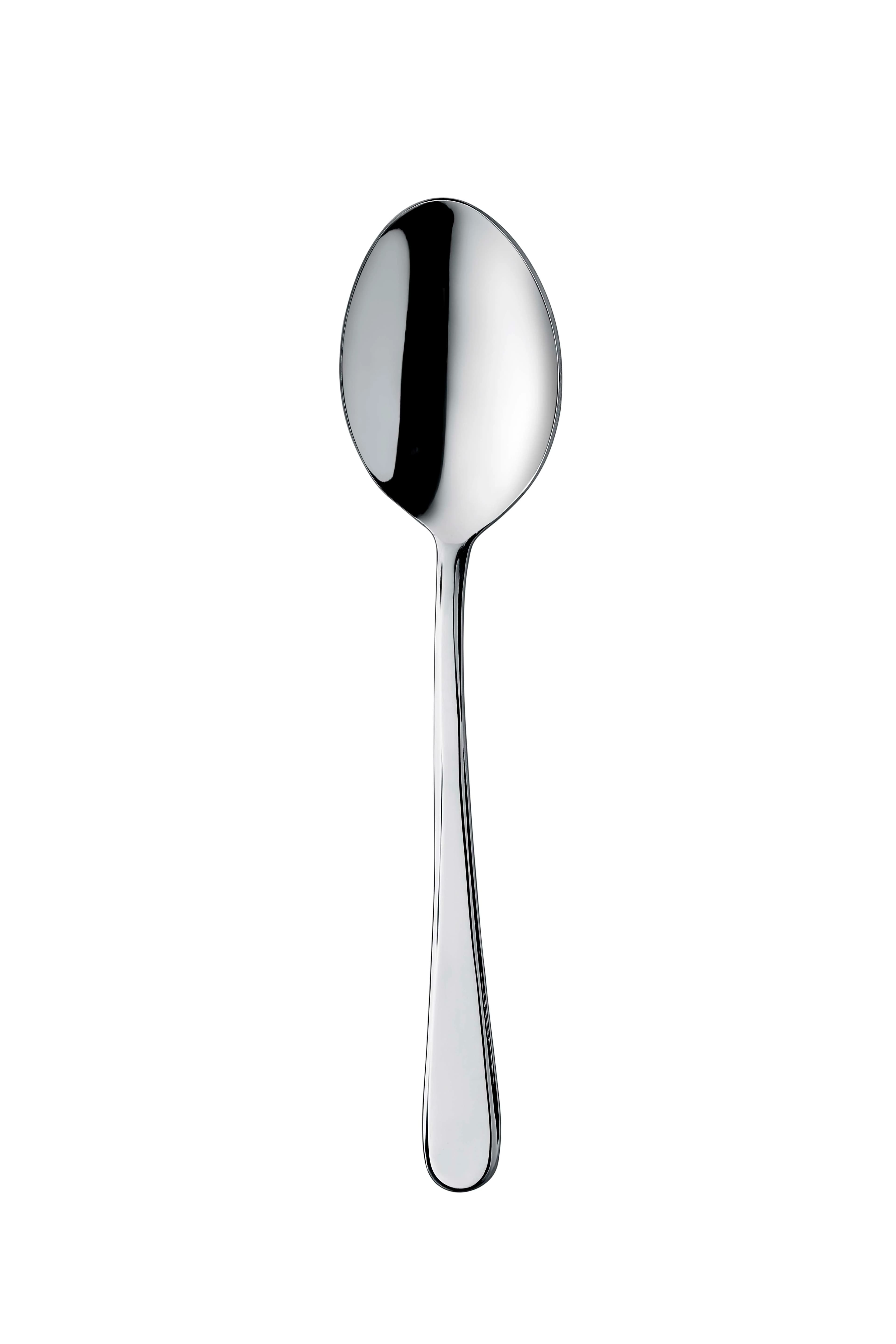 Okyanus Ordövr Kaşık 2,5mm